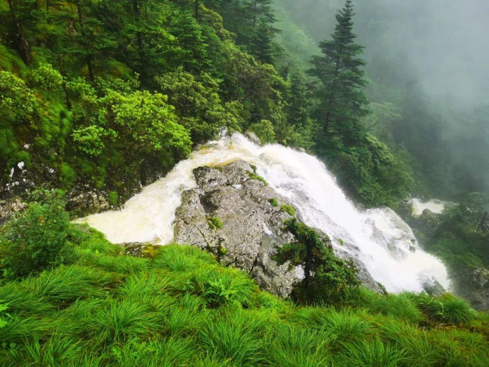 新春走基层 | 迎春送福写春联 翰墨飘香添年味